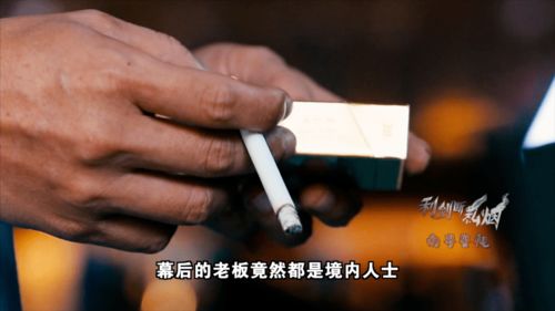 涉税约13.39亿元 湛江一团伙境内外 一条龙 走私 出口专供 香烟回国销售